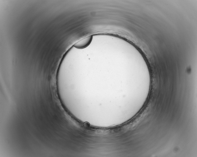 X0000103261521200809191706