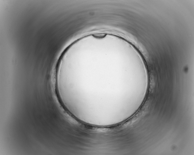 X0000103261522200809191706