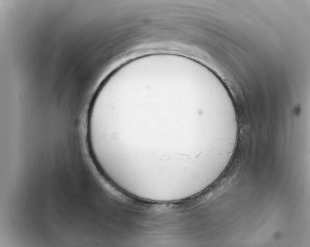 X0000103261523200809191706