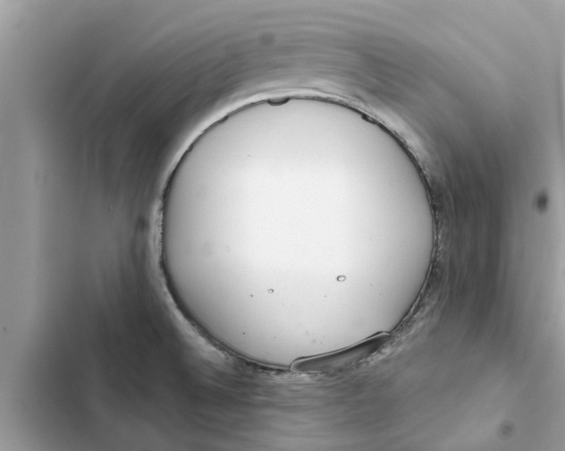 X0000103261524200809191706