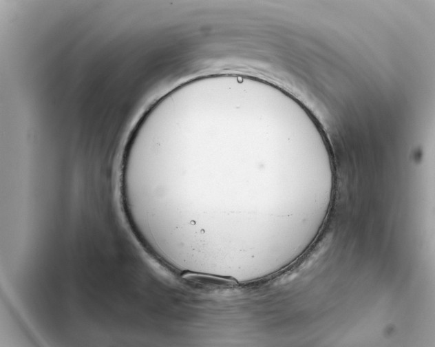 X0000103261525200809191706