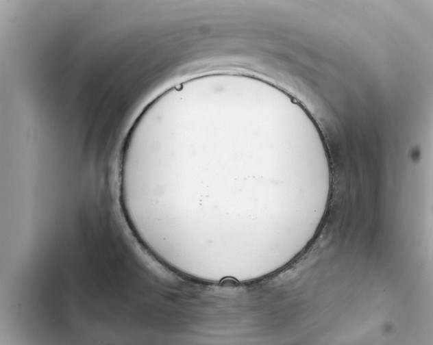 X0000103261526200809191706