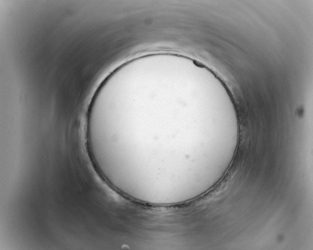 X0000103261527200809191706