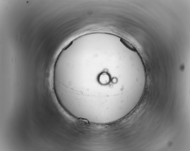 X0000103261528200809191706