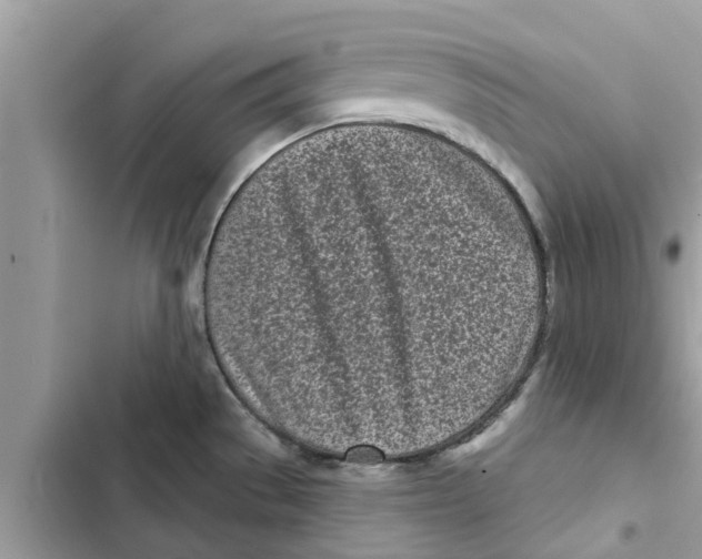 X0000103261529200809191706