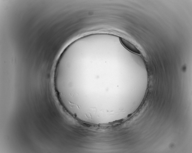 X0000103261530200809191706