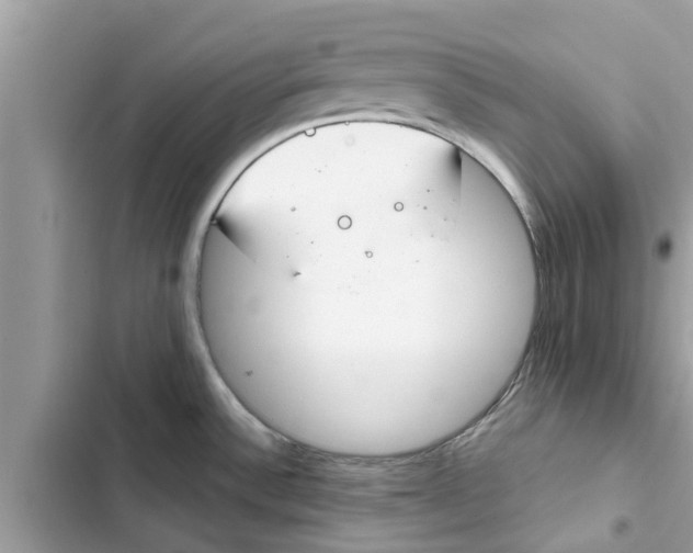 X0000103261532200809191706