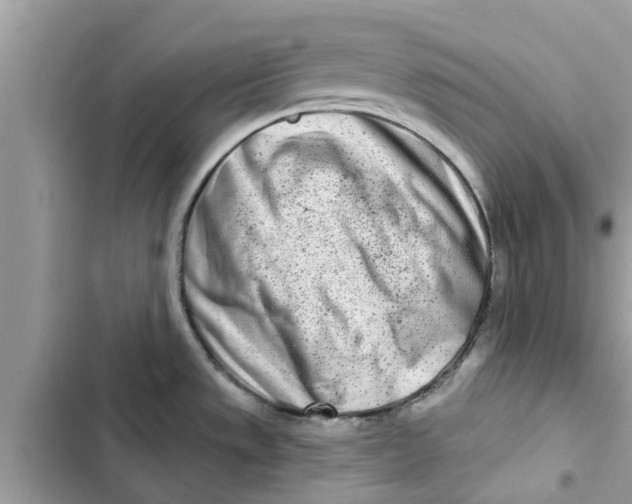 X0000103261533200809191706