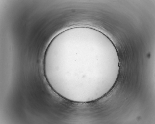 X0000103261534200809191706