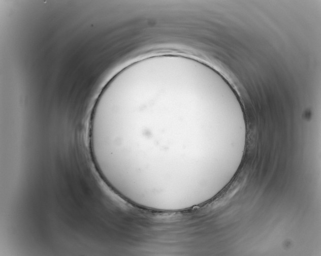 X0000103261535200809191706