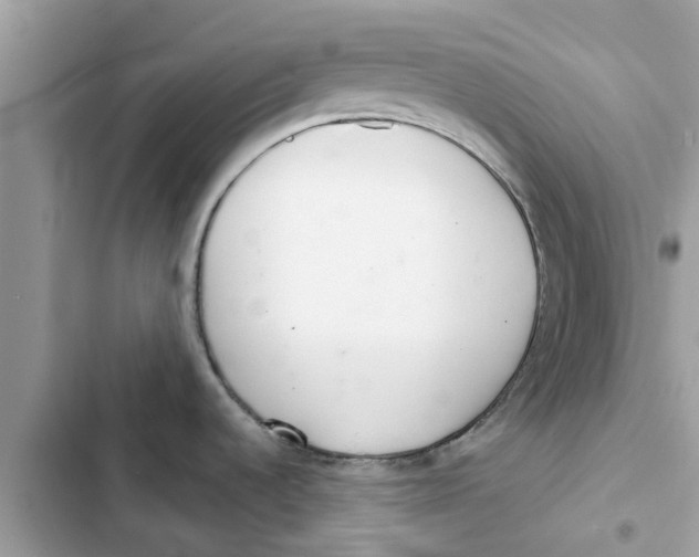 X0000103261536200809191706