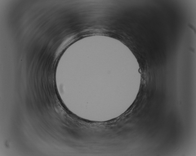 X0000103260004200809261150