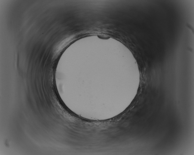 X0000103260005200809261150