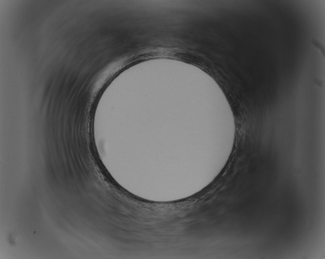 X0000103260006200809261149