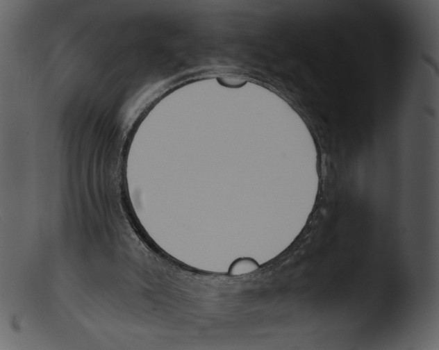 X0000103260007200809261149