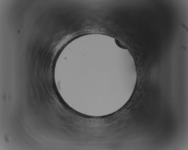 X0000103260008200809261149