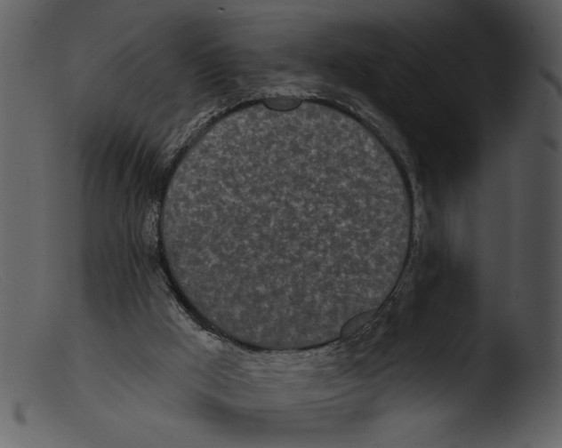 X0000103260009200809261149