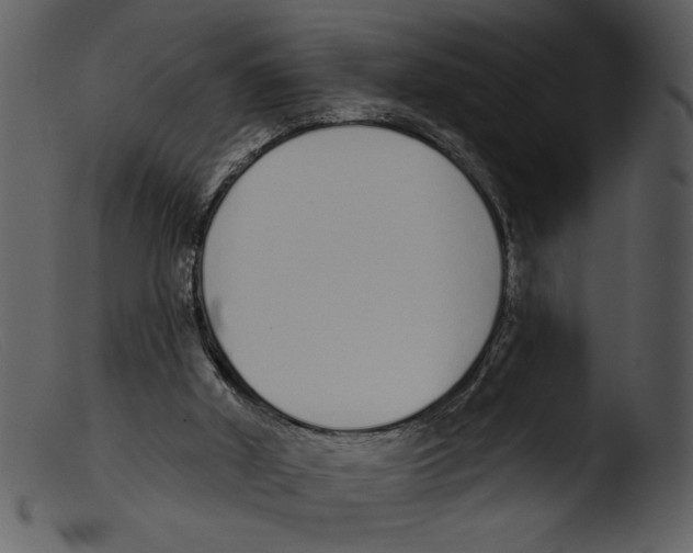 X0000103260010200809261149