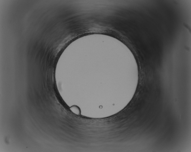 X0000103260011200809261149