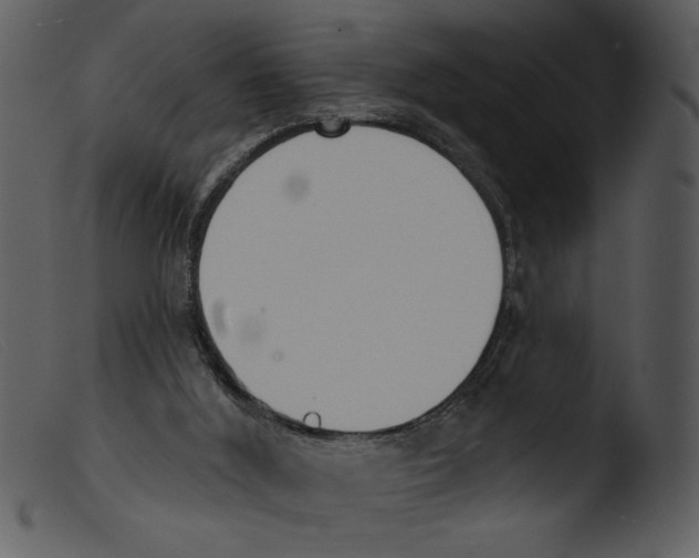 X0000103260012200809261149