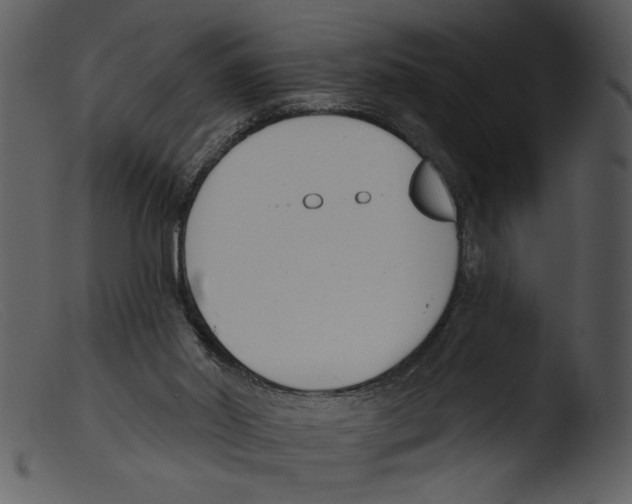 X0000103260014200809261149