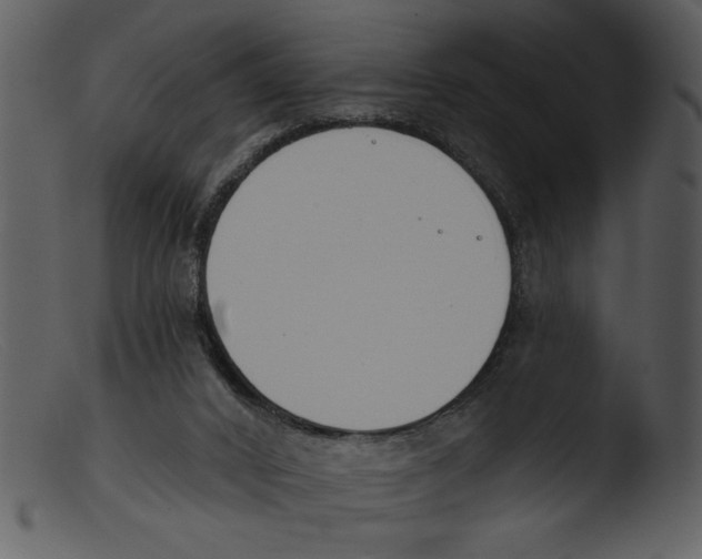 X0000103260016200809261149