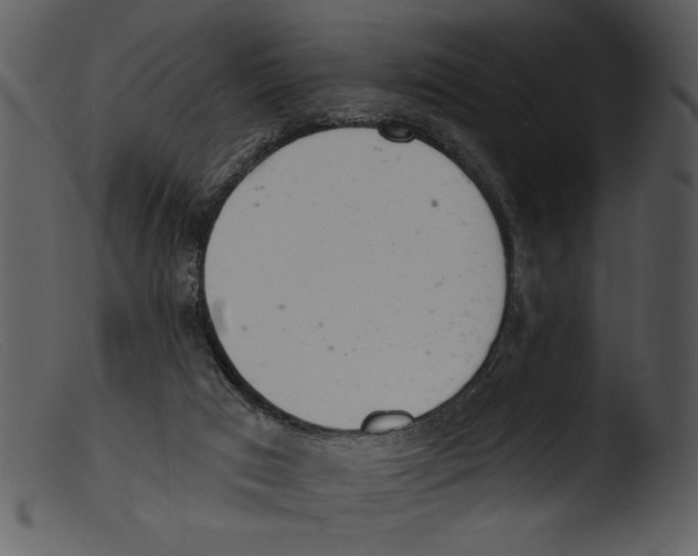 X0000103260017200809261149