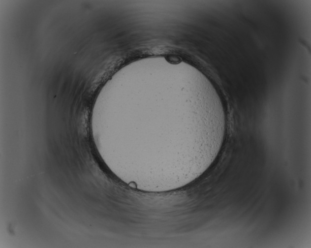 X0000103260018200809261149