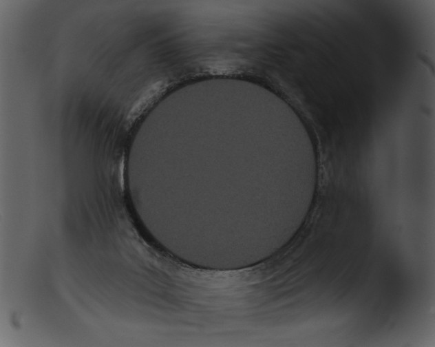 X0000103260019200809261149