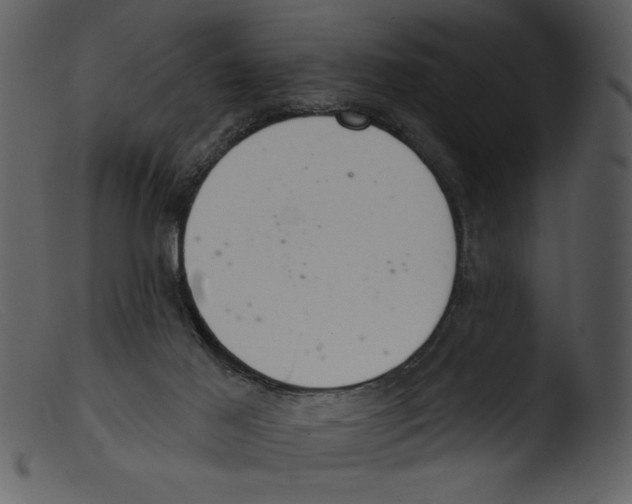 X0000103260021200809261149