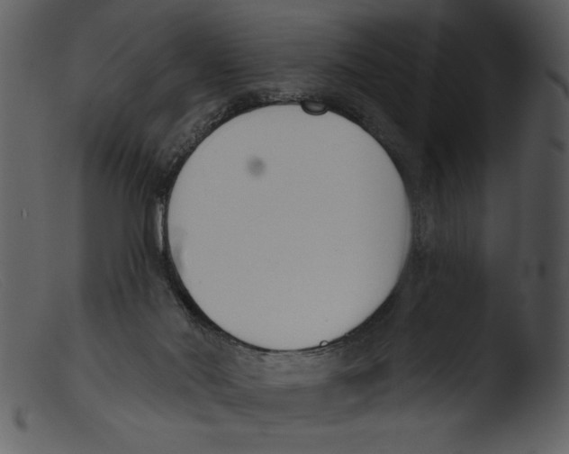 X0000103260022200809261149