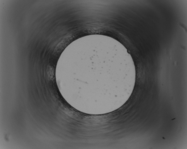 X0000103260025200809261149