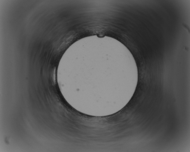 X0000103260028200809261149