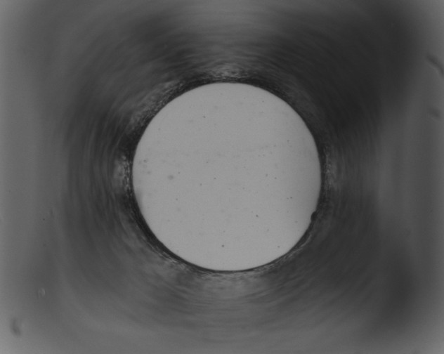 X0000103260029200809261149