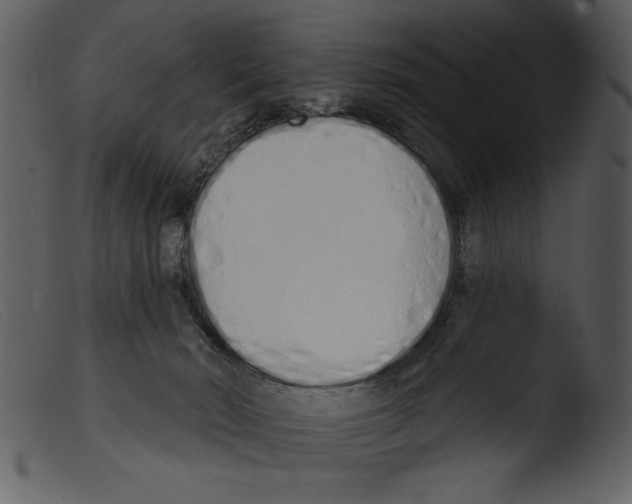 X0000103260030200809261149