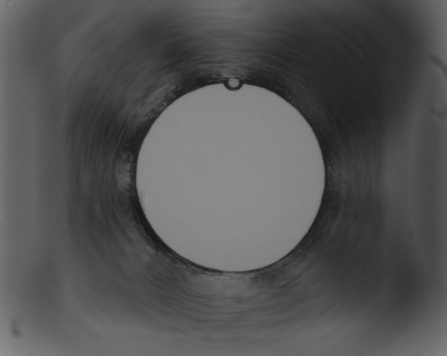 X0000103260032200809261149