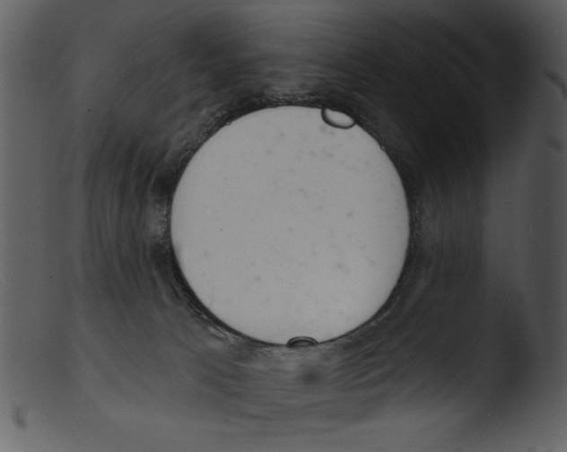 X0000103260033200809261149