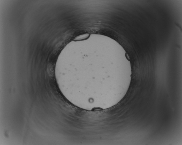 X0000103260037200809261149