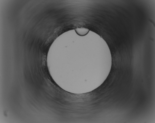 X0000103260038200809261149