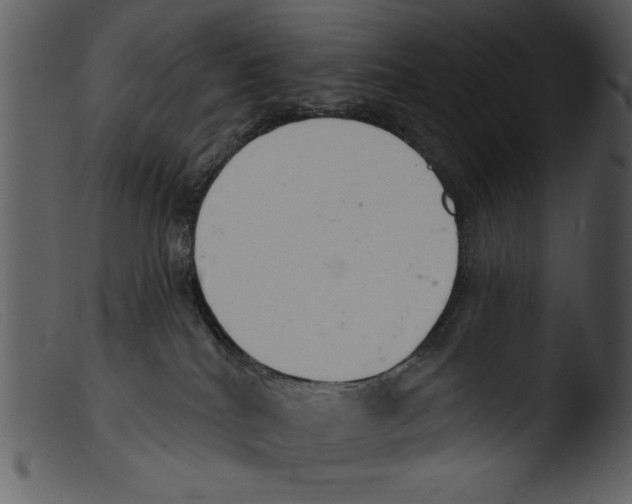 X0000103260040200809261149