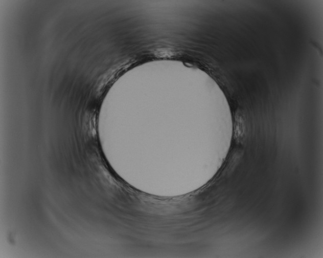 X0000103260043200809261149