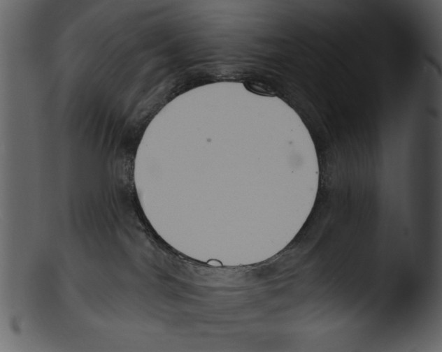 X0000103260044200809261149