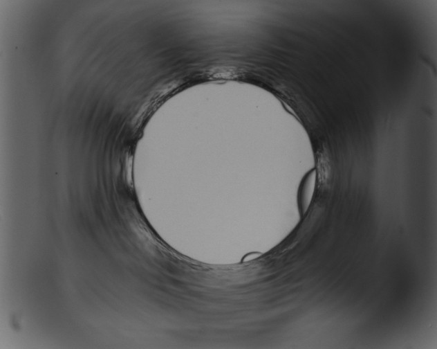 X0000103260046200809261149