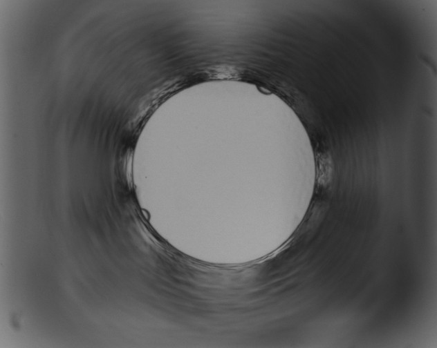 X0000103260047200809261149