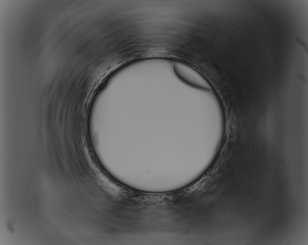 X0000103260049200809261148