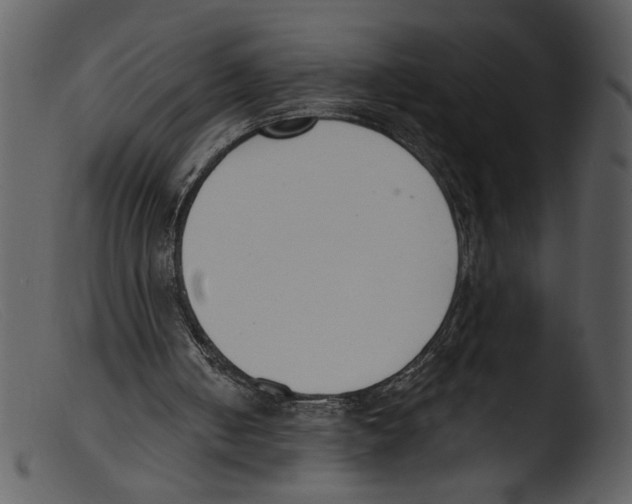 X0000103260050200809261148