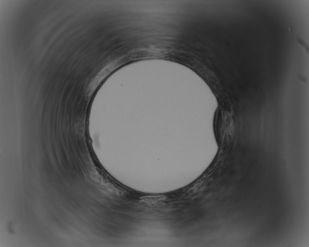 X0000103260051200809261148