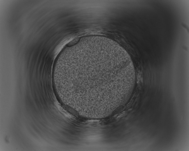 X0000103260052200809261148