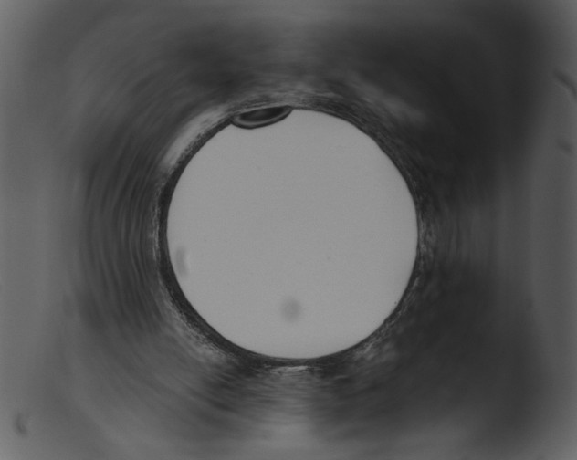 X0000103260054200809261148