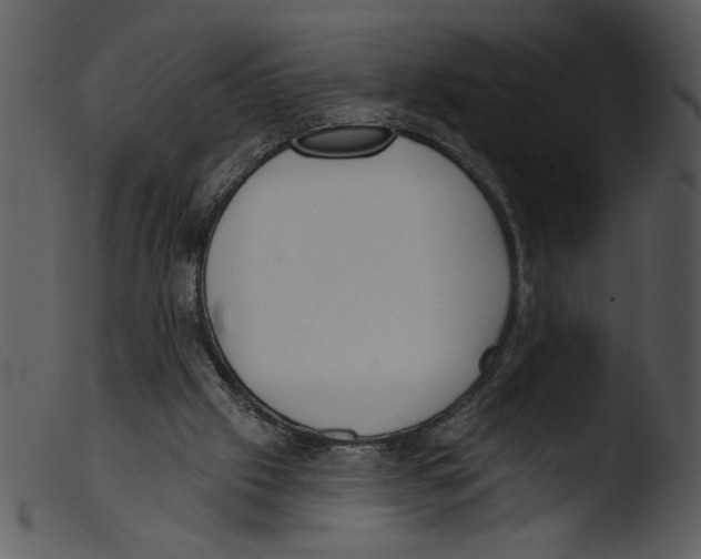 X0000103260057200809261148